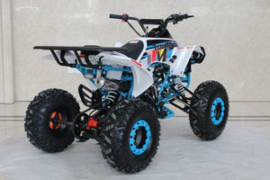 TrailMaster C125 125cc Sport ATV, Automatic with Reverse, 8 inch Wheels, Ages 12 and up - GoKarts USA®