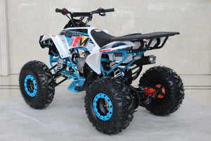 TrailMaster C125 125cc Sport ATV, Automatic with Reverse, 8 inch Wheels, Ages 12 and up - GoKarts USA®