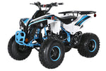 TrailMaster C125 125cc Sport ATV, Automatic with Reverse, 8 inch Wheels, Ages 12 and up - GoKarts USA®