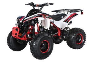 TrailMaster C125 125cc Sport ATV, Automatic with Reverse, 8 inch Wheels, Ages 12 and up - GoKarts USA®