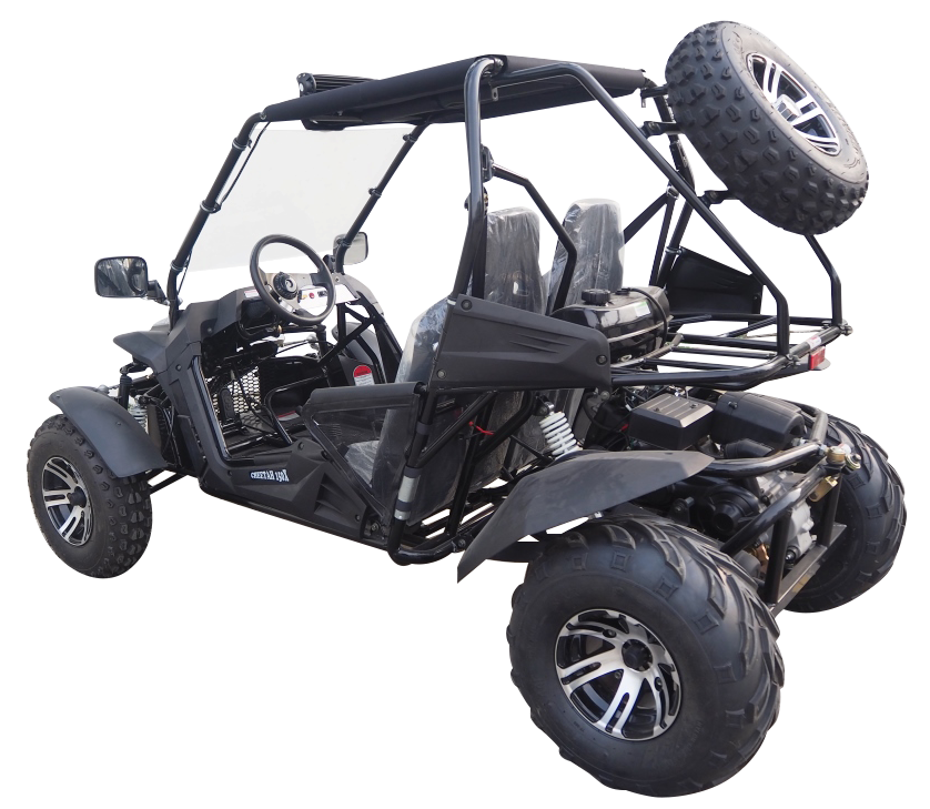 TrailMaster Cheetah 200X Go Kart (Special) CVT Automatic with Reverse, Alloy Wheels, Windshield