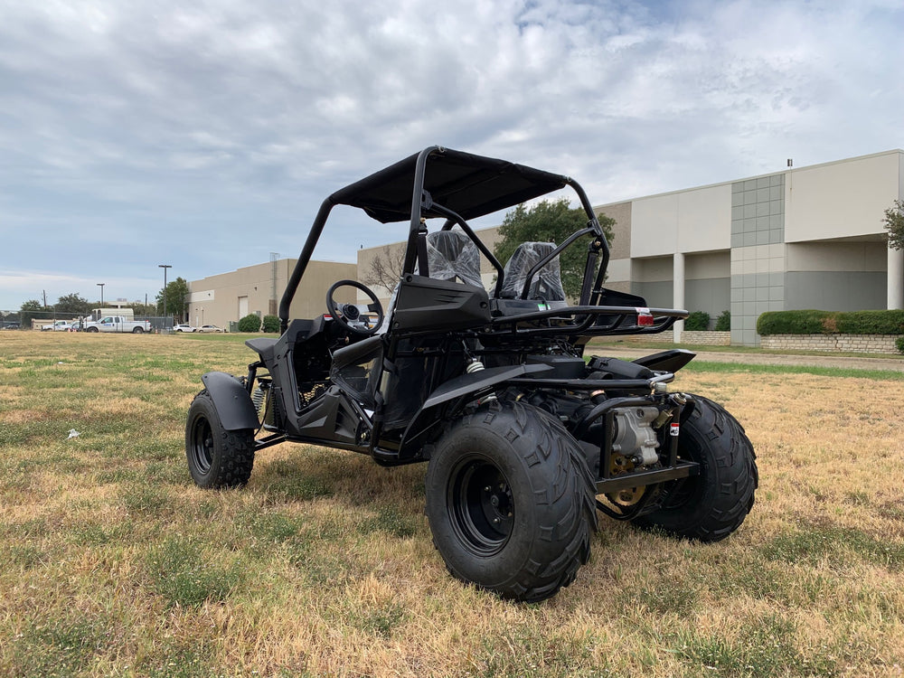 TrailMaster Cheetah 200 Full Size Buggy Go Kart, CVT Automatic with Reverse