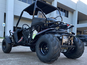 TrailMaster Cheetah 300E (Special) EFI UTV Go Kart, Shaft Drive, Liquid Cooled CVT Auto with Reverse