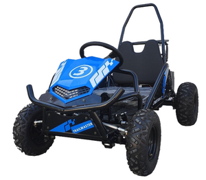 Cheetah i3 Kids Electric Mini Go Kart, 36v 500w, 3-Speeds with Reverse