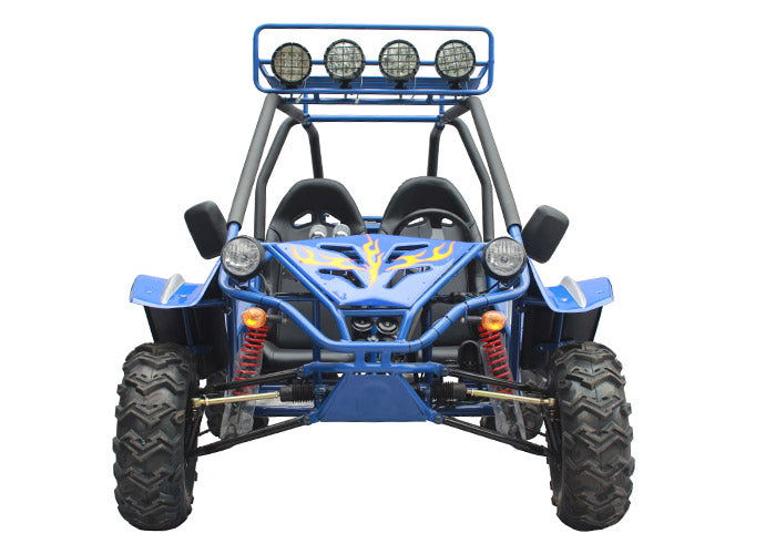 Commander 200 Buggy Go Kart, Electric Start, Automatic with Reverse, Ages 16 and up - GoKarts USA®