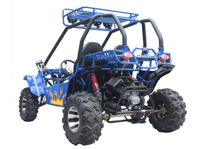 Commander 200 Buggy Go Kart, Electric Start, Automatic with Reverse, Ages 16 and up - GoKarts USA®