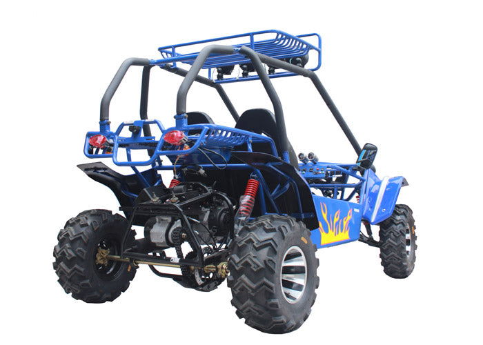 Commander 200 Buggy Go Kart, Electric Start, Automatic with Reverse, Ages 16 and up - GoKarts USA®