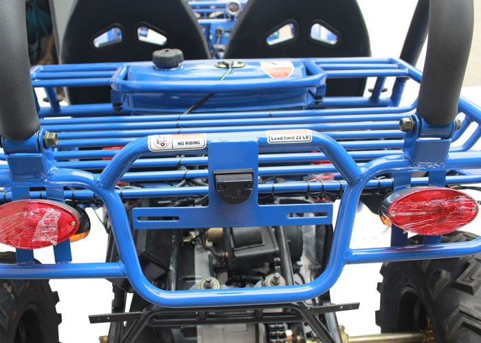 Commander 200 Buggy Go Kart, Electric Start, Automatic with Reverse, Ages 16 and up - GoKarts USA®