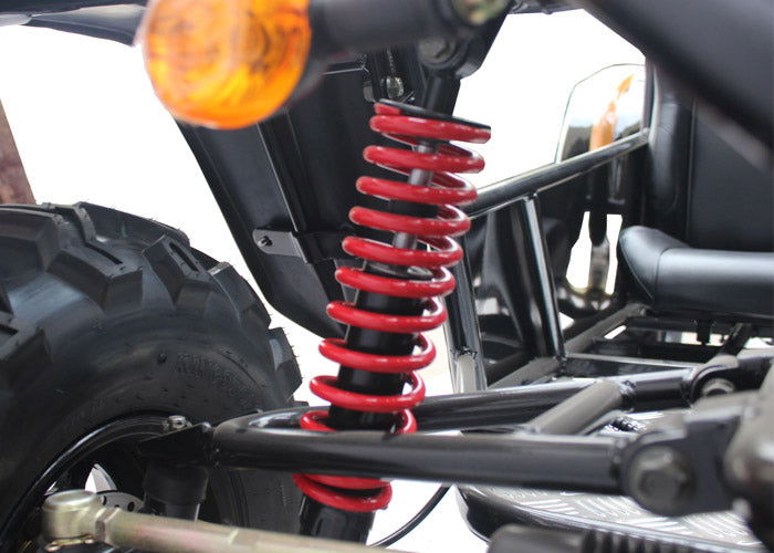 Commander 200 Buggy Go Kart, Electric Start, Automatic with Reverse, Ages 16 and up - GoKarts USA®