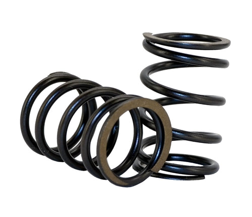 22lb Valve Spring - Pair – GoKarts USA®