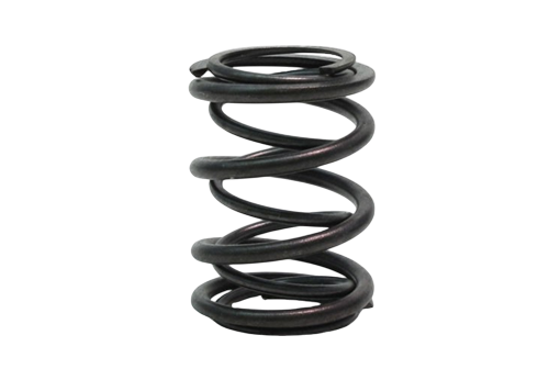 Springs, Valve, 45lb Dual, Pair – GoKarts USA®