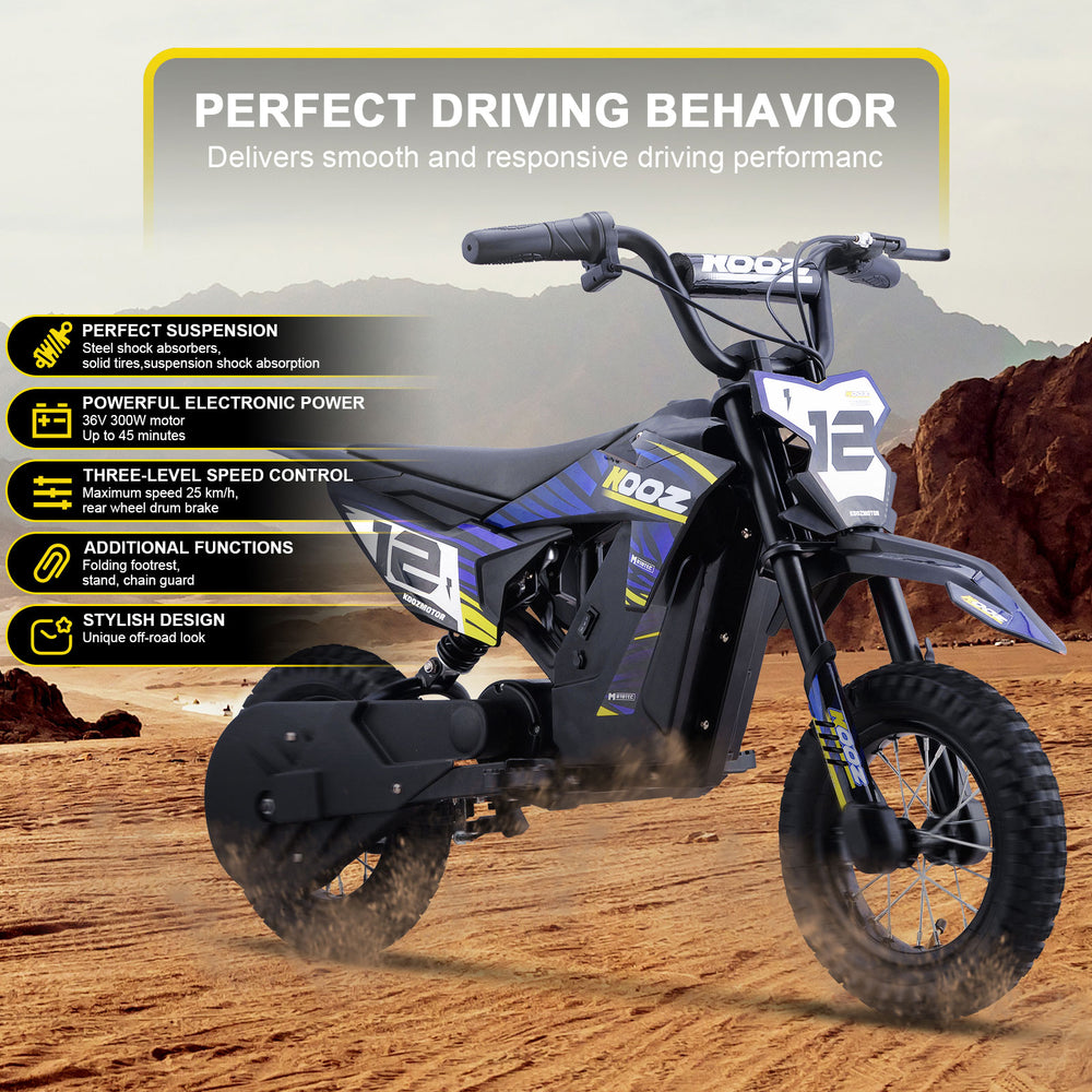 Electric Dirt Bike, Lithium 36v 300w, Ages 6-9