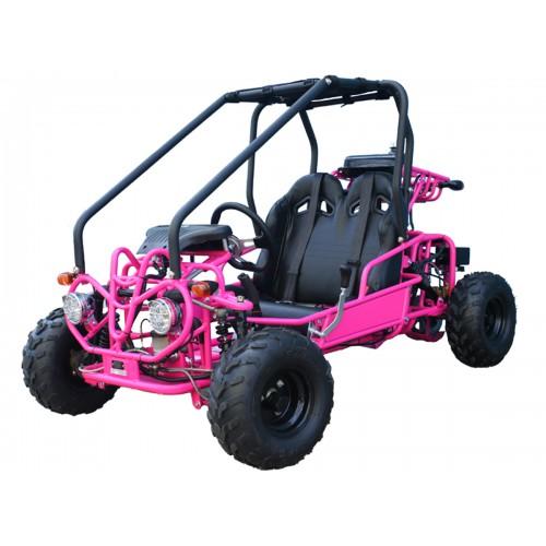 Mini Rover 110 Kids Go Kart, Remote Start/Kill, Automatic, with Reverse, Speed Governor