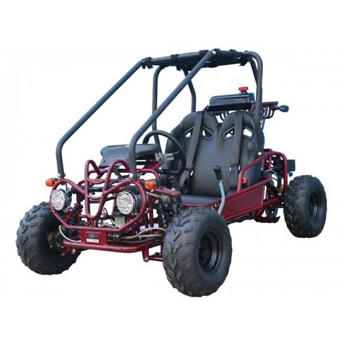 Mini Rover 110 Kids Go Kart, Remote Start/Kill, Automatic, with Reverse, Speed Governor