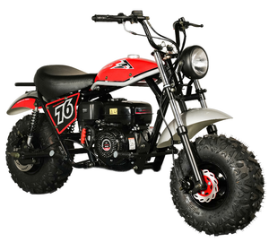 Front Fender for Trailmaster Hurricane 200X Mini Bike, 65001-PL