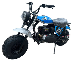 TrailMaster Hurricane 200X PRO Mini Bike, 196cc 6.5hp with Electric Start, Torque Converter, Dual Disc Brakes, Front & Rear Suspension, LED Headlight