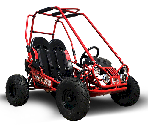 MINI XRX+ Kids GoKart, 5.5hp Gas Engine with Electric Start, Remote Start/Kill, Ages 4-9 - GoKarts USA®