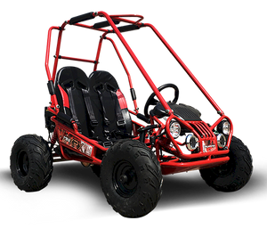 MINI XRX+ Kids GoKart, 5.5hp Gas Engine with Electric Start, Remote Start/Kill, Ages 4-9 - GoKarts USA®