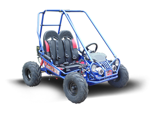 MINI XRX+ Kids GoKart, 5.5hp Gas Engine with Electric Start, Remote Start/Kill, Ages 4-9 - GoKarts USA®