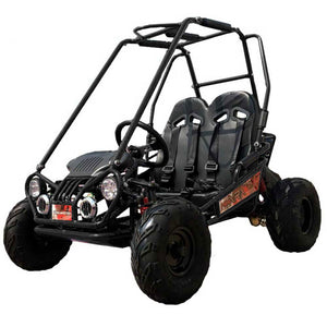 MINI XRX+ Kids GoKart, 5.5hp Gas Engine with Electric Start, Remote Start/Kill, Ages 4-9 - GoKarts USA®