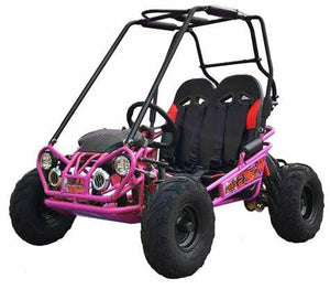 MINI XRX+ Kids GoKart, 5.5hp Gas Engine with Electric Start, Remote Start/Kill, Ages 4-9 - GoKarts USA®