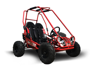 MINI XRX+ Kids GoKart, 5.5hp Gas Engine with Electric Start, Remote Start/Kill, Ages 4-9 - GoKarts USA®