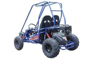 MINI XRX+ Kids GoKart, 5.5hp Gas Engine with Electric Start, Remote Start/Kill, Ages 4-9 - GoKarts USA®