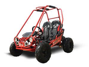 MINI XRX+ Kids GoKart, 5.5hp Gas Engine with Electric Start, Remote Start/Kill, Ages 4-9 - GoKarts USA®