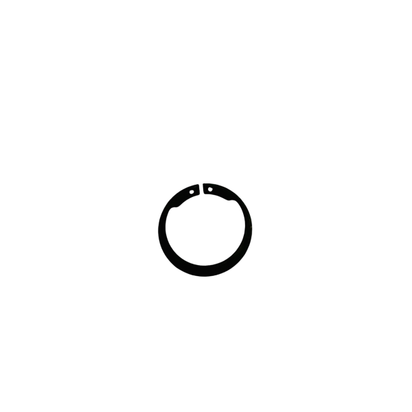 Snap Ring, Clutch Hub, Max-Torque