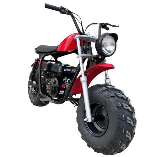 Gas Mini Rocker Mudstar Gas Powered Mini Bike, 196cc 6.5hp 4-Stroke – GoKarts USA®