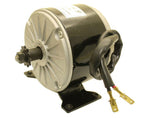 Motor (24V, 250W) - GoKarts USA®