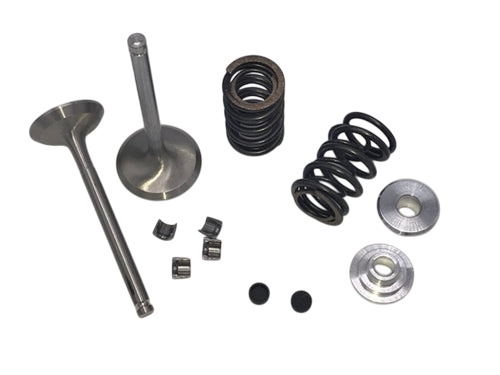 Valve & Spring Package, Stainless Steel, GX270