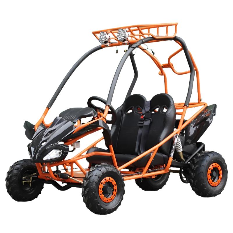 PGO 200GVS Kids Gas Go Kart, 6.5hp 196cc engine with Electric Start, A ...