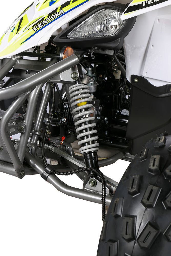 Pentora 125cc Sport ATV, Fully Auto with Reverse