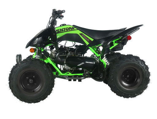 Pentora 200cc EFI Sport ATV, Fully Auto with Reverse – GoKarts USA®