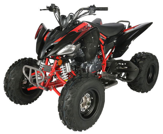 Pentora 250cc Sport ATV, 4-Speed Manual with Reverse – GoKarts USA®