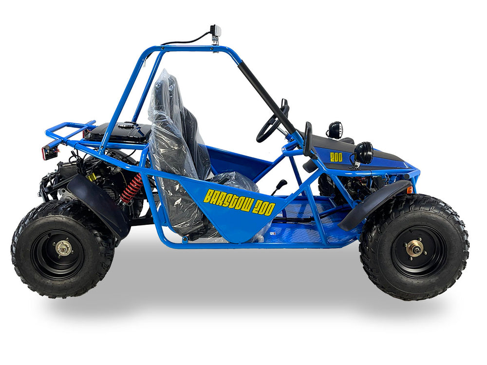 Striker Buggy Go Kart, Adult Size, 200cc Automatic Reverse, LED Lights