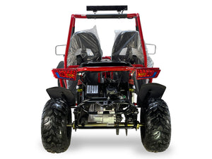 Striker Buggy Go Kart, Adult Size, 200cc Automatic Reverse, LED Lights