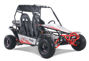 Baja Sport 200 Buggy, Electric Start, Automatic with Reverse, LED Light Bar