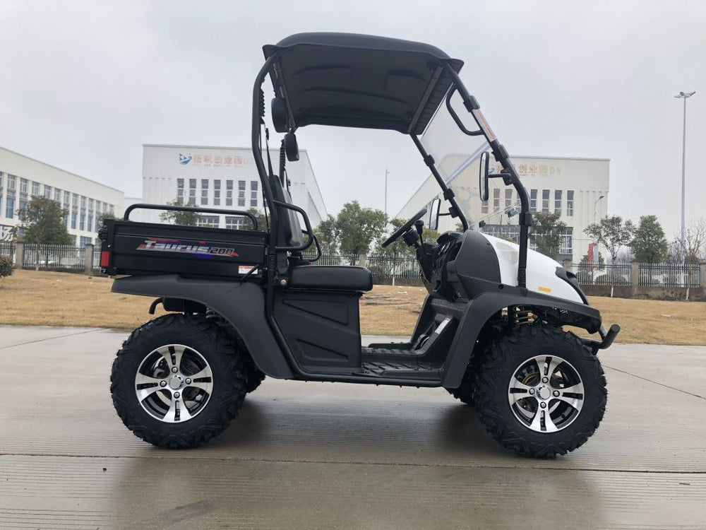 TrailMaster Taurus 200E-U EFI Gas UTV Shaft Drive, High/Low Gear Alloy Wheels, Fuel Injected - GoKarts USA®