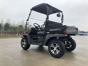 TrailMaster Taurus 200E-U EFI Gas UTV Shaft Drive, High/Low Gear Alloy Wheels, Fuel Injected - GoKarts USA®