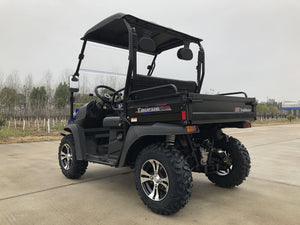 TrailMaster Taurus 200E-U EFI Gas UTV Shaft Drive, High/Low Gear Alloy Wheels, Fuel Injected - GoKarts USA®