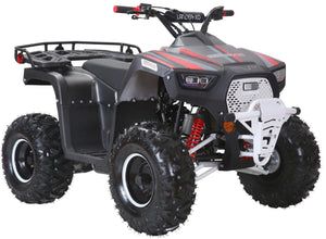 Lander 125 ATV ,125cc Automatic with Reverse, 8 in Wheels (3125F)