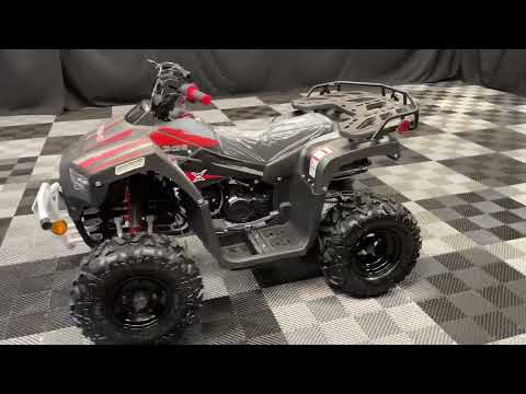 
            
                Load and play video in Gallery viewer, Lander 125 ATV ,125cc Automatic with Reverse, 8 in Wheels (3125F)
            
        