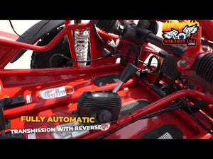 
            
                Load and play video in Gallery viewer, TrailMaster 300-XRS 4E 4-seater Buggy Go Kart, CVT Automatic EFI
            
        