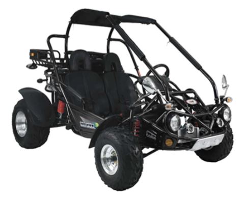 300 XRX-E Dune Buggy Go Kart, EFI Fuel Injected, Liquid Cooled, Shaft Drive, Alloy Wheels