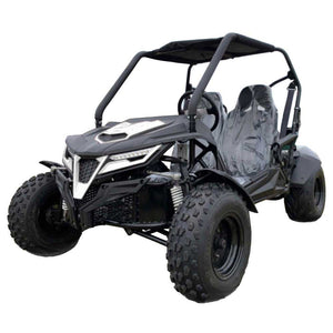 TrailMaster Cheetah 200E EFI Buggy Go Kart, CVT Automatic with Reverse