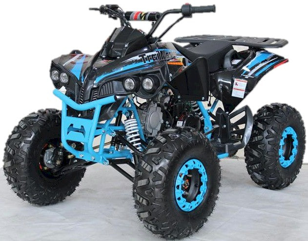 TrailMaster C125 125cc Sport ATV, Automatic with Reverse, 8 inch Wheels, Ages 12 and up - GoKarts USA®