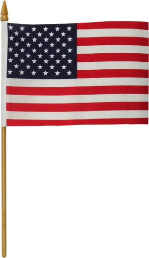 
            
                Load image into Gallery viewer, USA Flag w/Pole
            
        