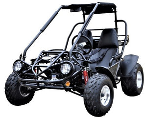 
            
                Load image into Gallery viewer, 200 XRS Go Kart CVT Auto with Reverse  ADULT- Number One Go kart Nationwide
            
        